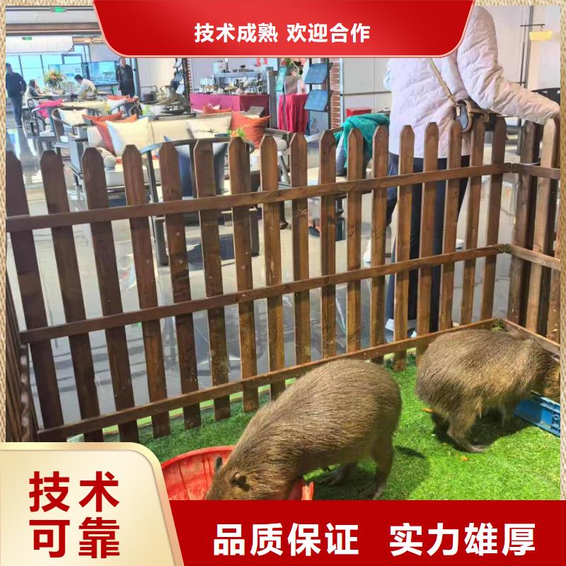 銷售企業(yè)團建的廠家