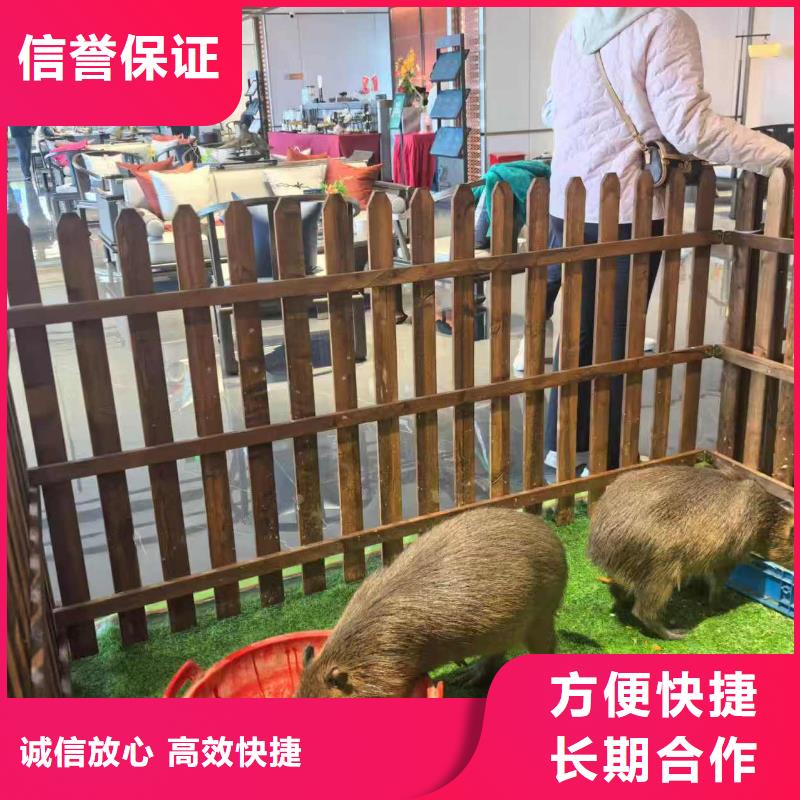 靠譜的策劃廠家