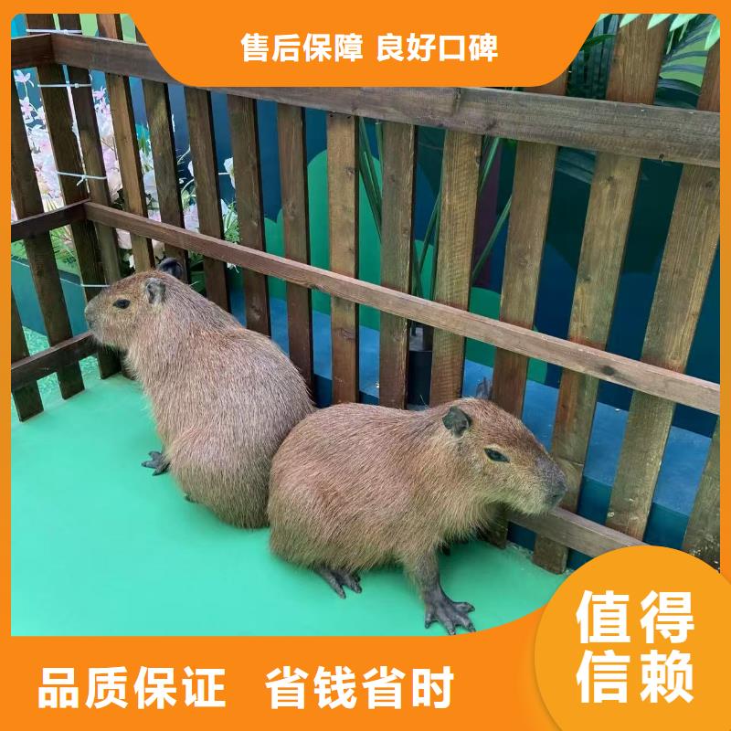 出租優(yōu)勢安裝指導(dǎo)