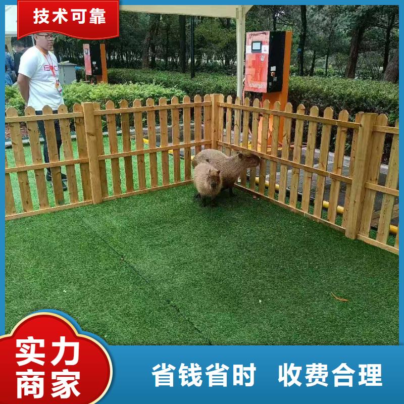 出租市場(chǎng)現(xiàn)貨價(jià)格