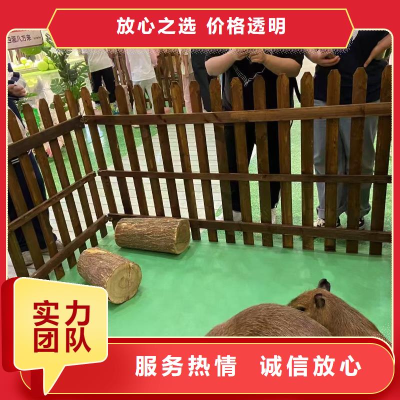 出租優(yōu)勢安裝指導(dǎo)