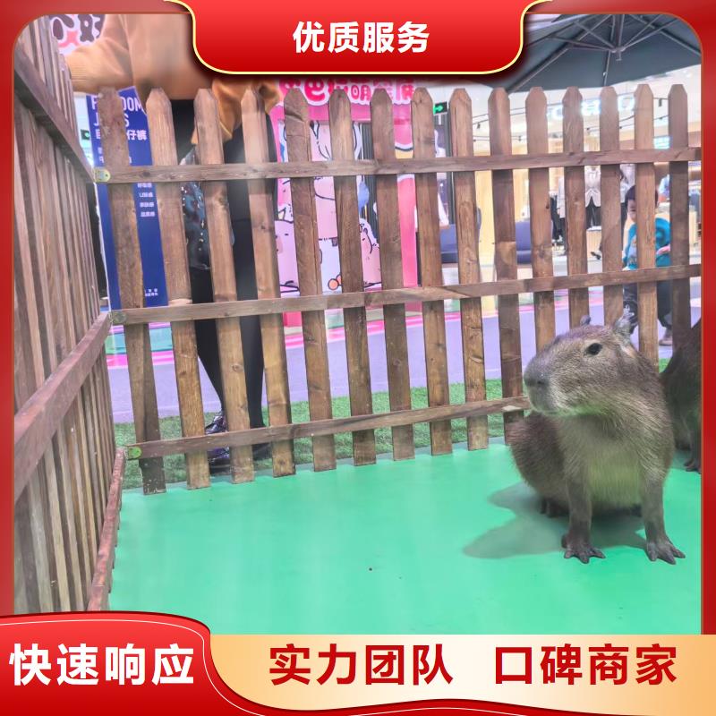 飼養(yǎng)員全國包郵