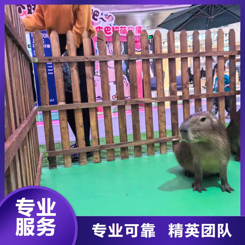 飼養(yǎng)員_按需定制