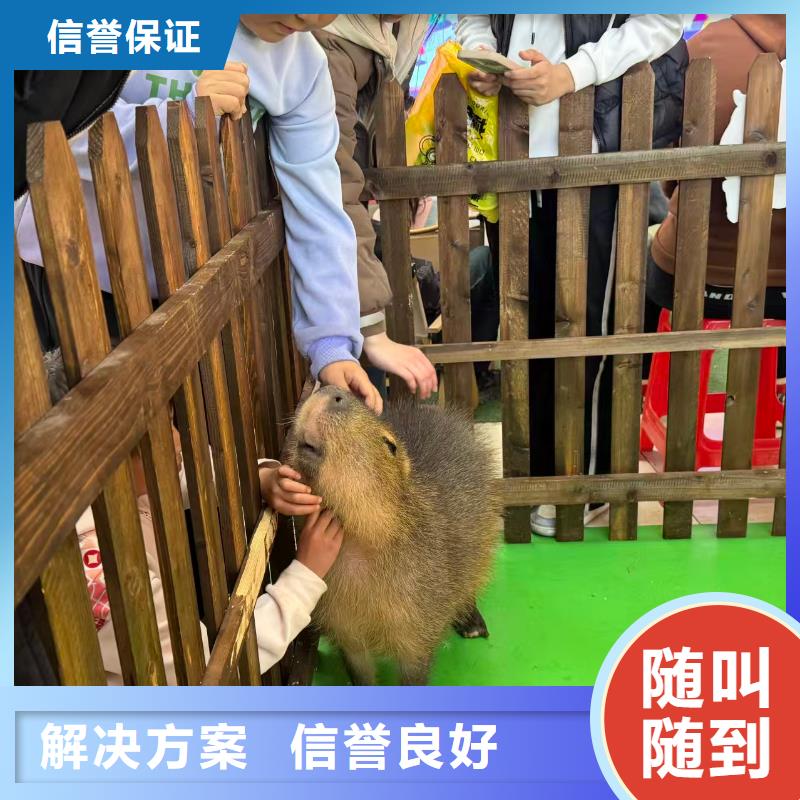 全年齡段適配市場批發(fā)價