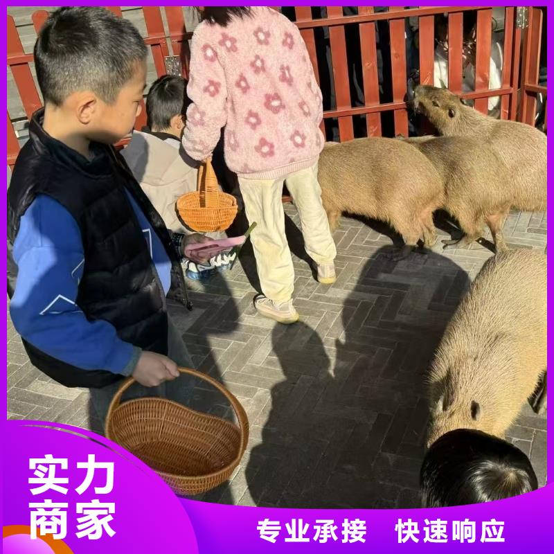 批發(fā)策劃的公司