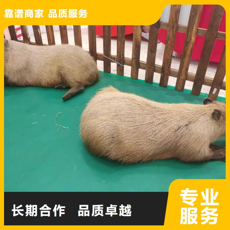 出租優(yōu)勢安裝指導(dǎo)