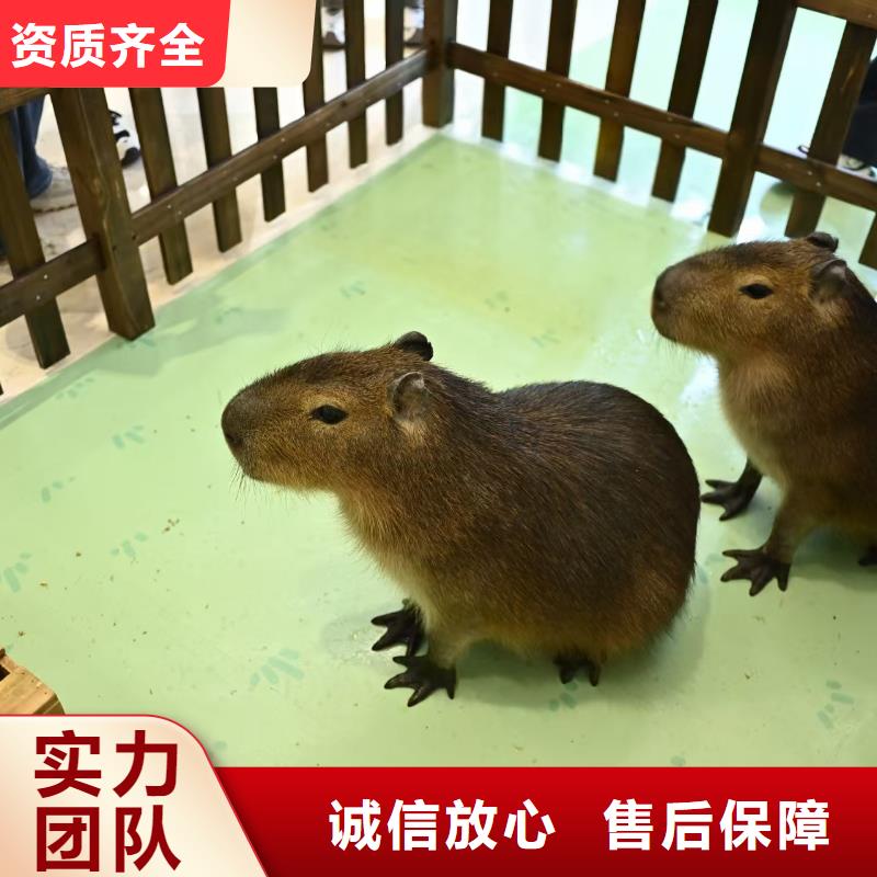 策劃活動銷售廠家