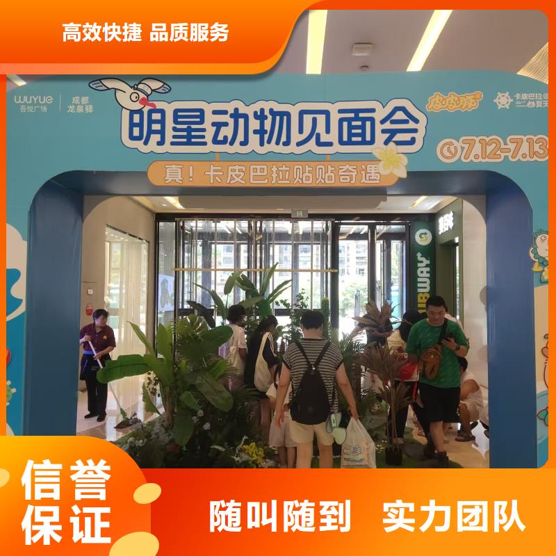 卡皮巴拉租賃一站式服務