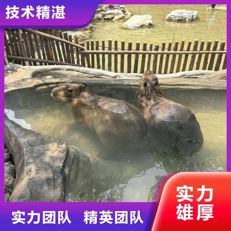 銷售企業(yè)團建的廠家