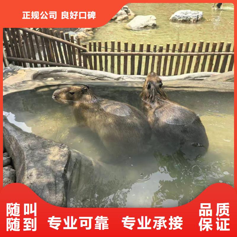 批發(fā)策劃的公司