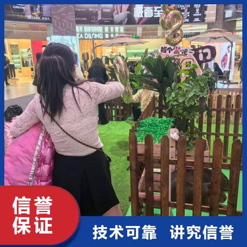 全年齡段適配市場價