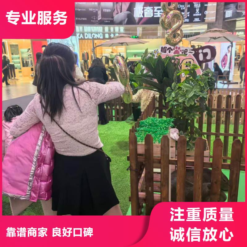 供應(yīng)全年齡段適配_誠信企業(yè)