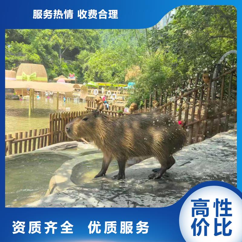 出租十周年促銷