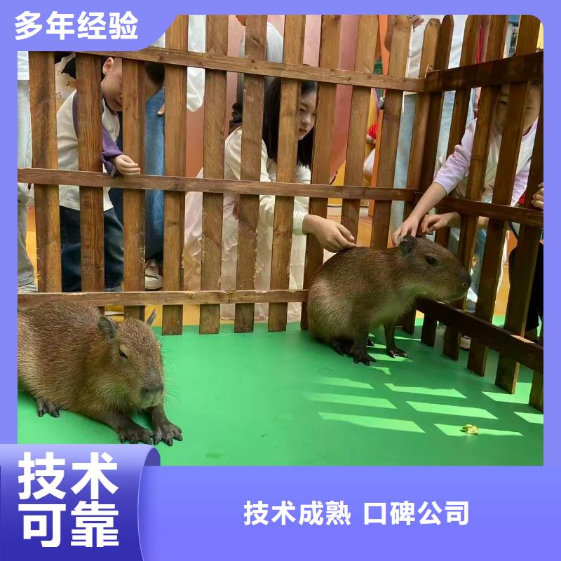 供應(yīng)全年齡段適配_誠信企業(yè)