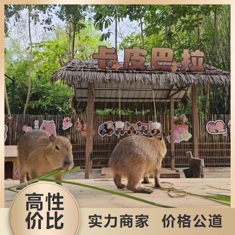 養(yǎng)殖基地-專注養(yǎng)殖基地十多年