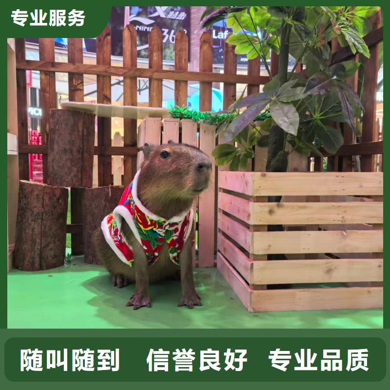 出租優(yōu)勢安裝指導(dǎo)