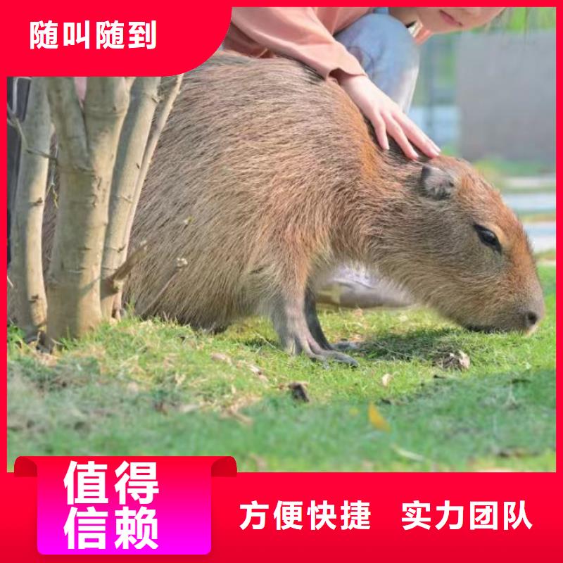 租賃資質(zhì)核查熱賣中