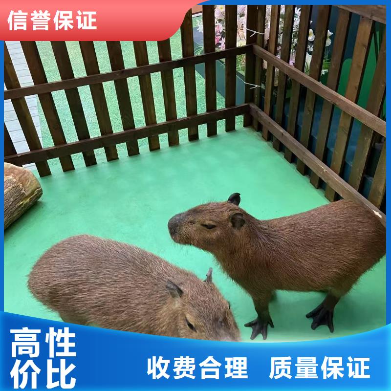 出租優(yōu)勢安裝指導(dǎo)