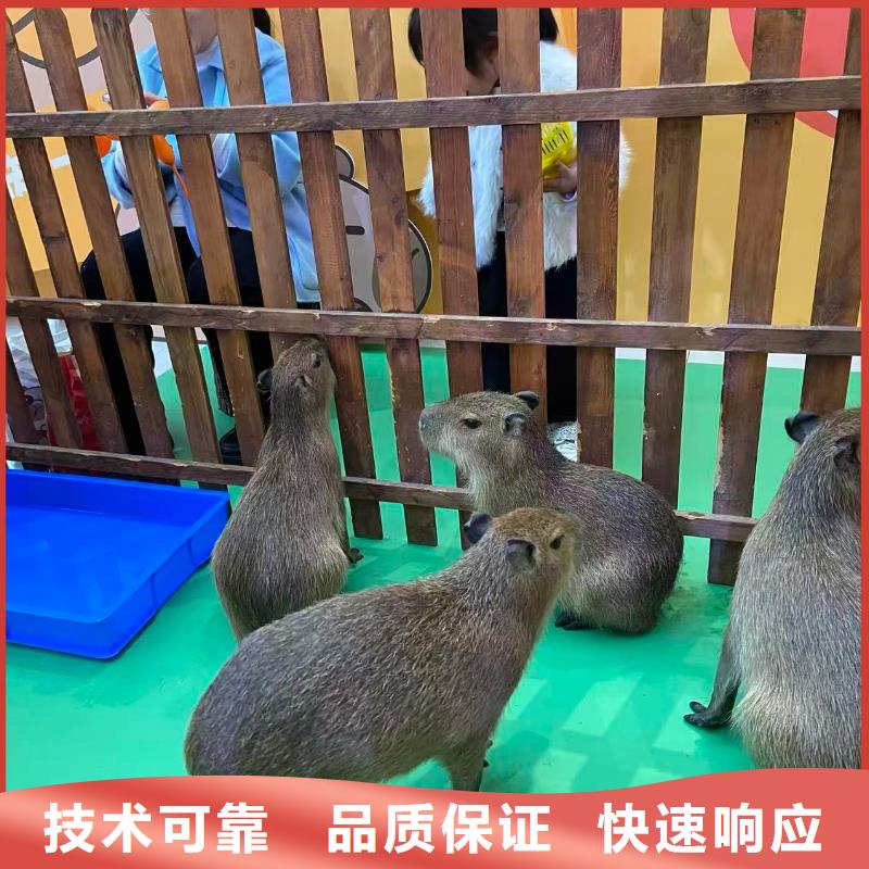 養(yǎng)殖基地-專注養(yǎng)殖基地十多年