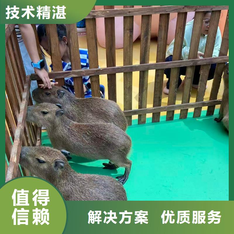 景區(qū)活動廠家現(xiàn)貨銷售