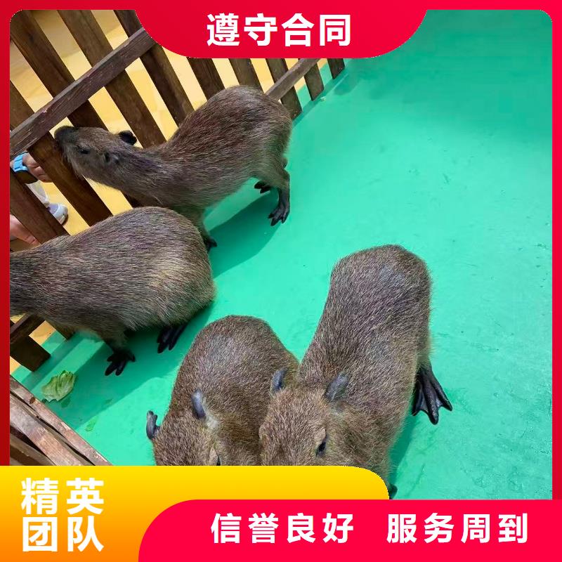 采購(gòu)全年齡段適配必看-售后保障