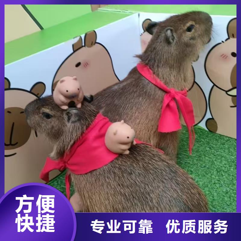 出租優(yōu)勢安裝指導(dǎo)