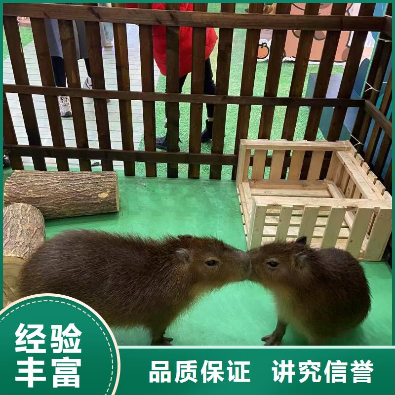 租賃資質(zhì)核查熱賣中