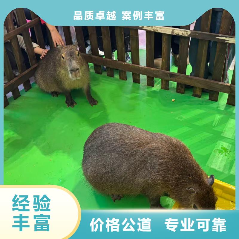 策劃活動銷售廠家