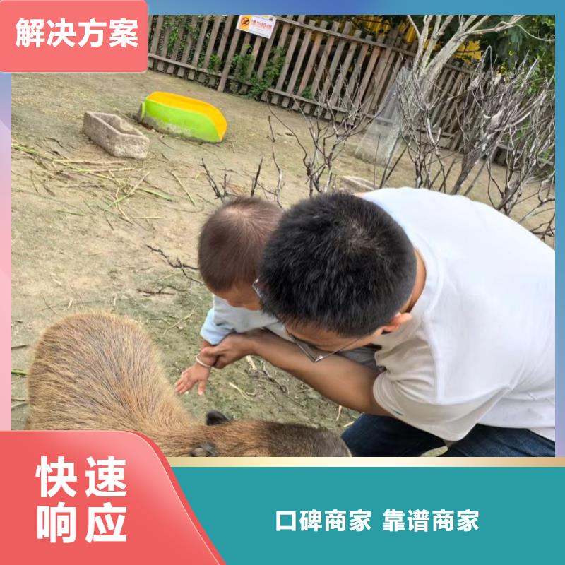 全年齡段適配市場批發(fā)價