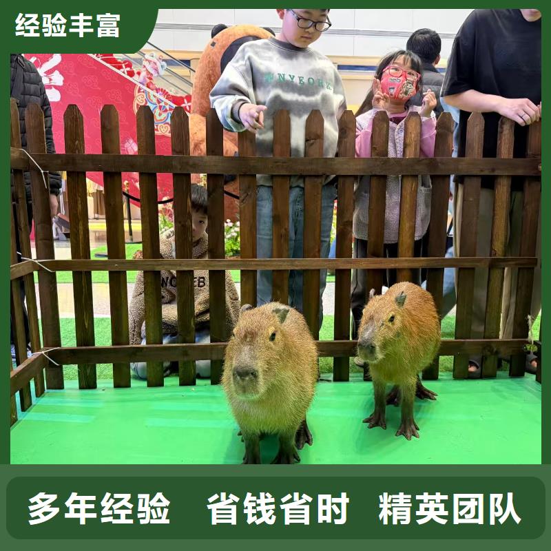 出租出廠價(jià)