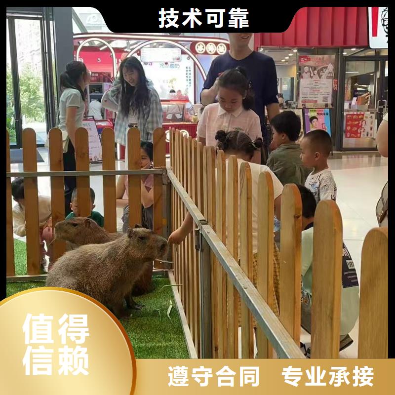 飼養(yǎng)員全國包郵