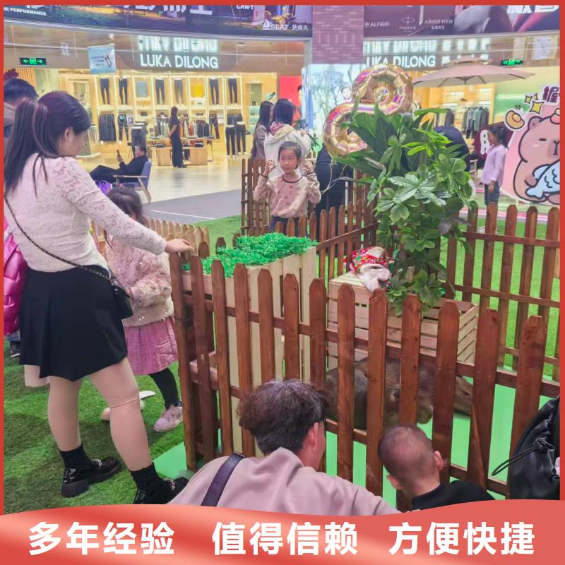 出租優(yōu)勢正規(guī)實(shí)體廠家