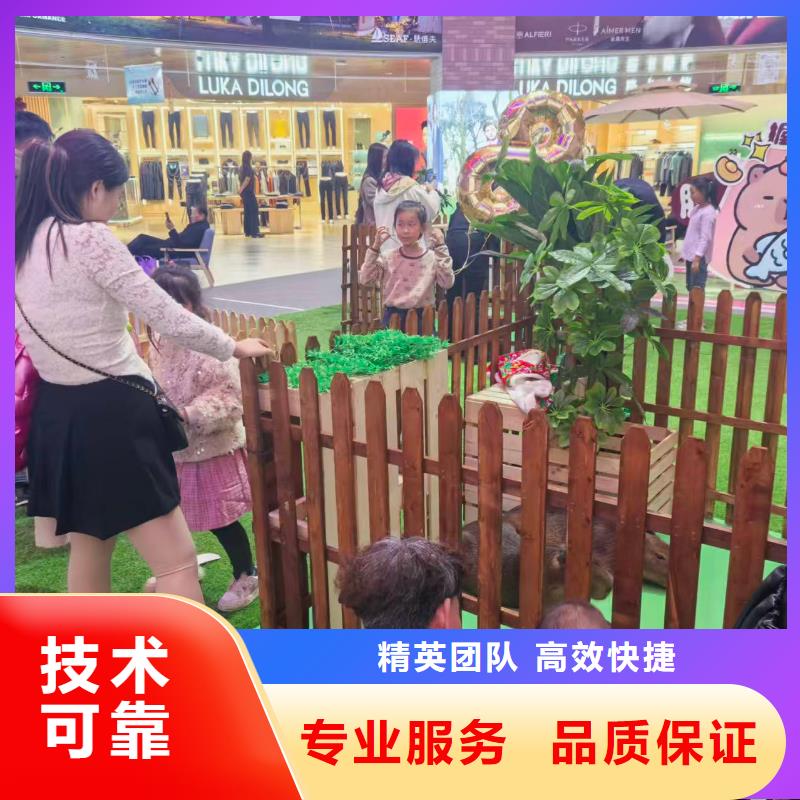 采購(gòu)全年齡段適配必看-售后保障