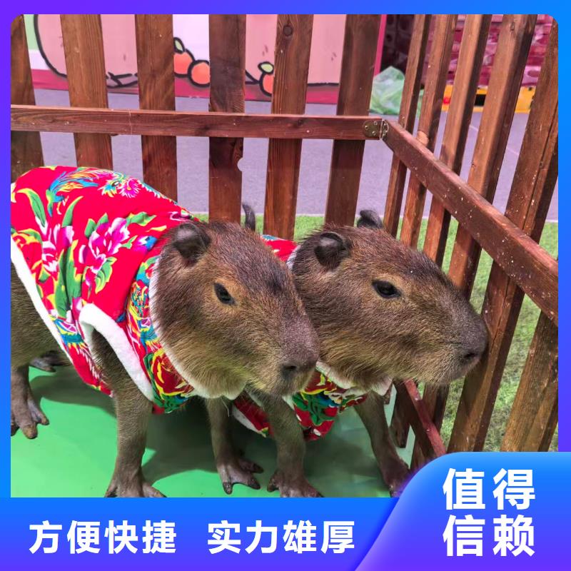 質(zhì)優(yōu)價廉的全年齡段適配基地