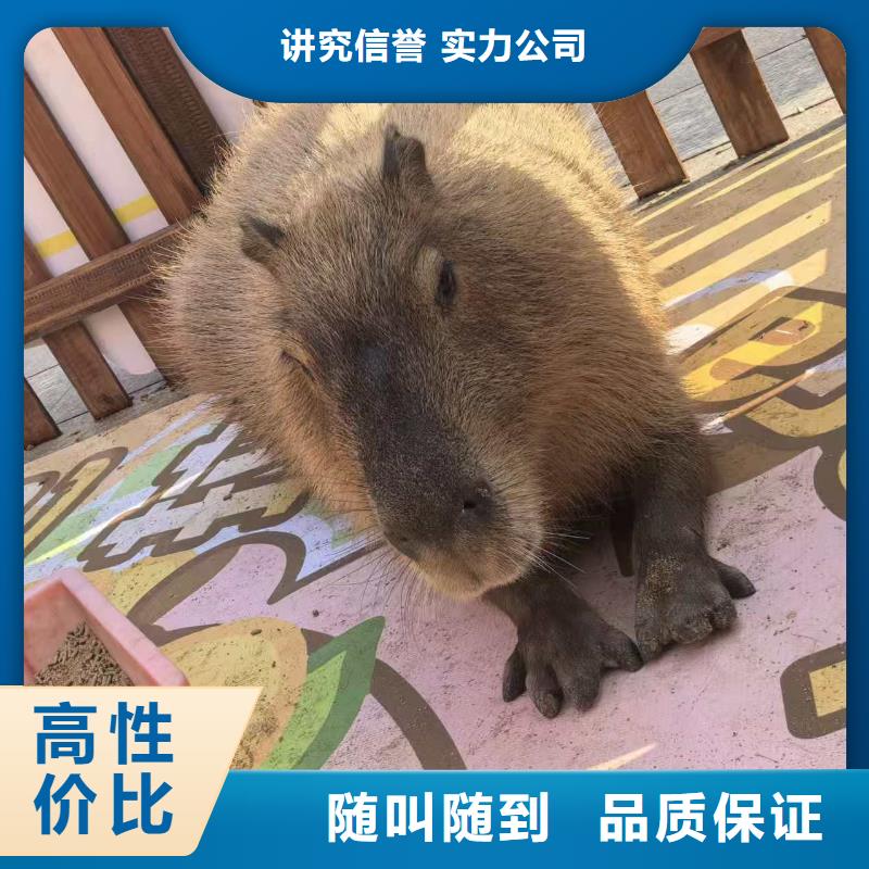 租賃資質(zhì)核查熱賣中