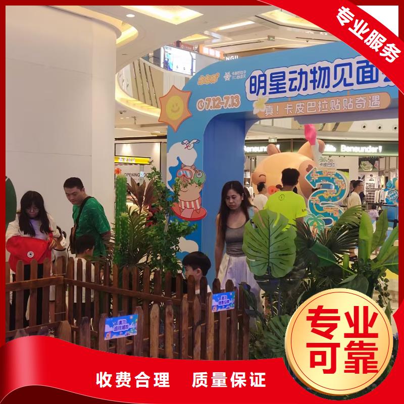 出租優(yōu)勢正規(guī)實(shí)體廠家