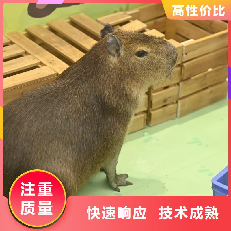 養(yǎng)殖基地-專注養(yǎng)殖基地十多年