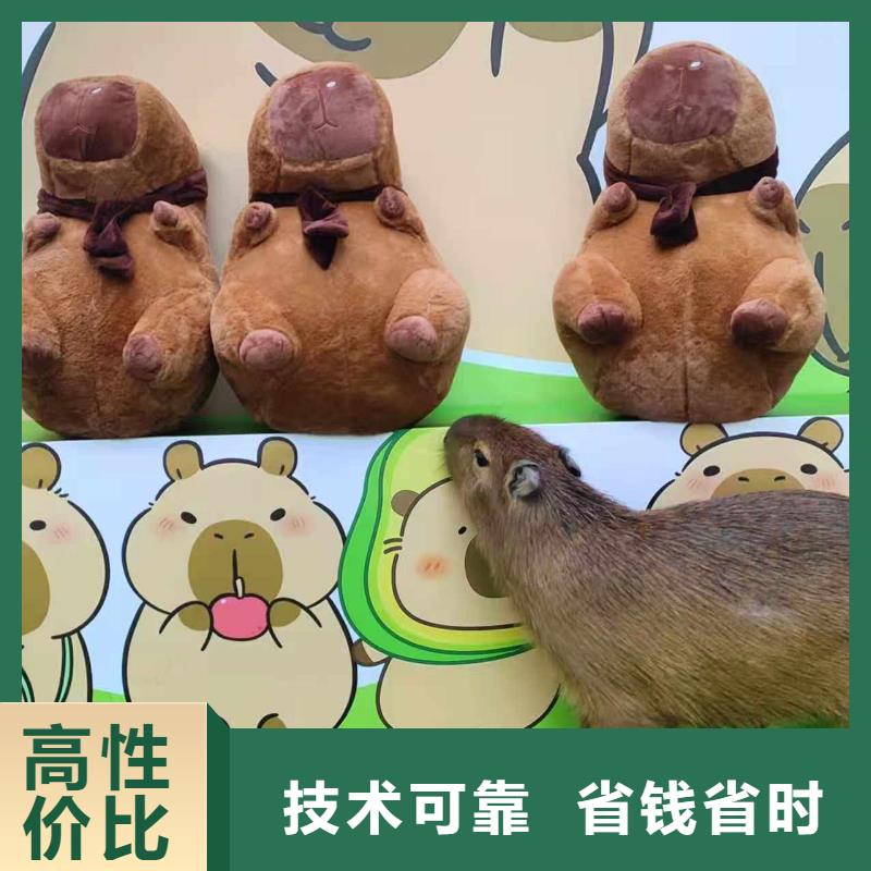 出租優(yōu)勢安裝指導(dǎo)