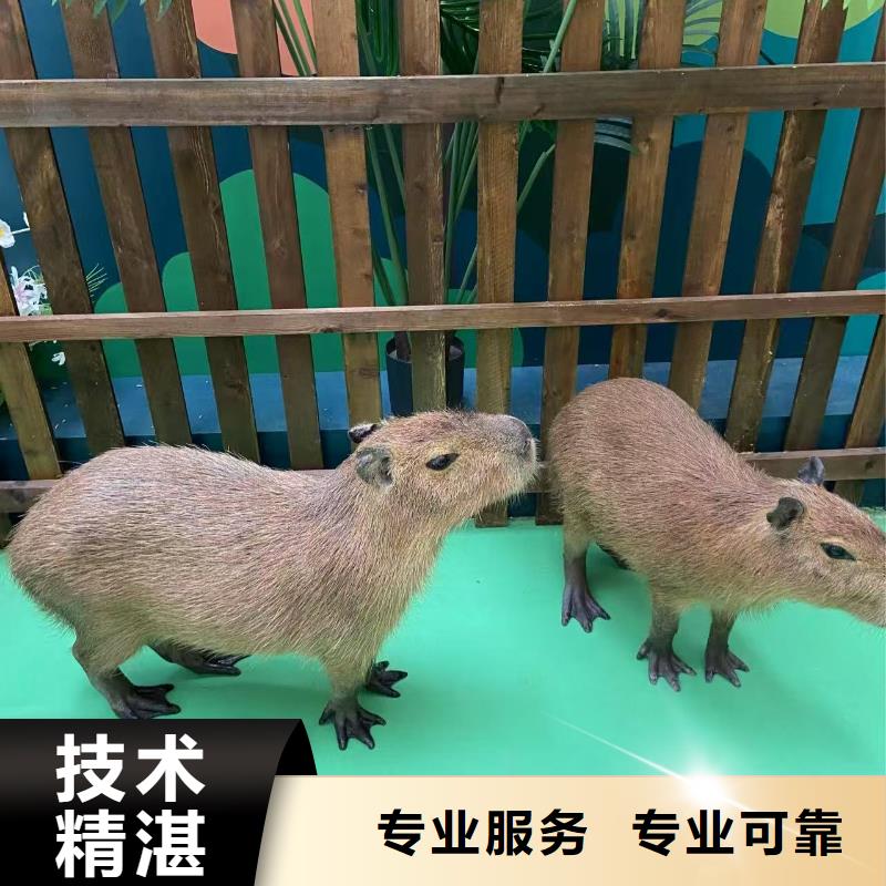 全年齡段適配用專業(yè)讓客戶省心