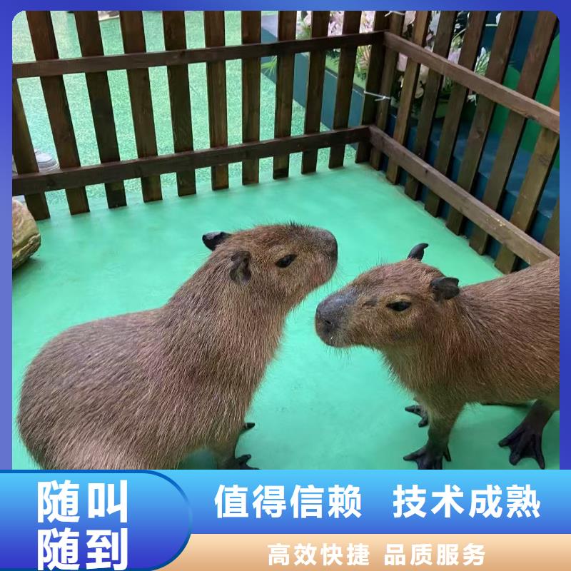 出租優(yōu)勢安裝指導(dǎo)