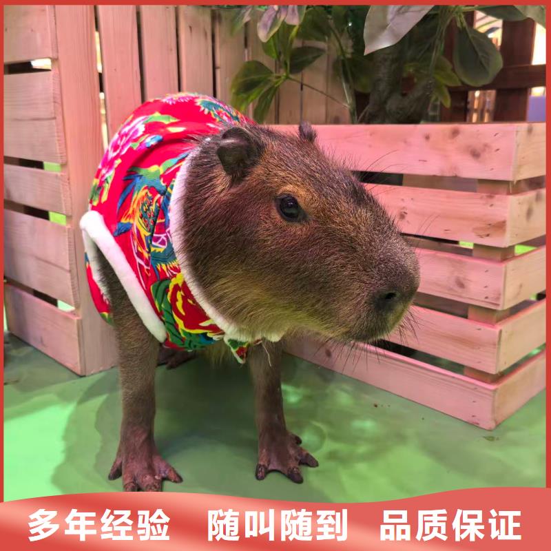 養(yǎng)殖基地-專注養(yǎng)殖基地十多年