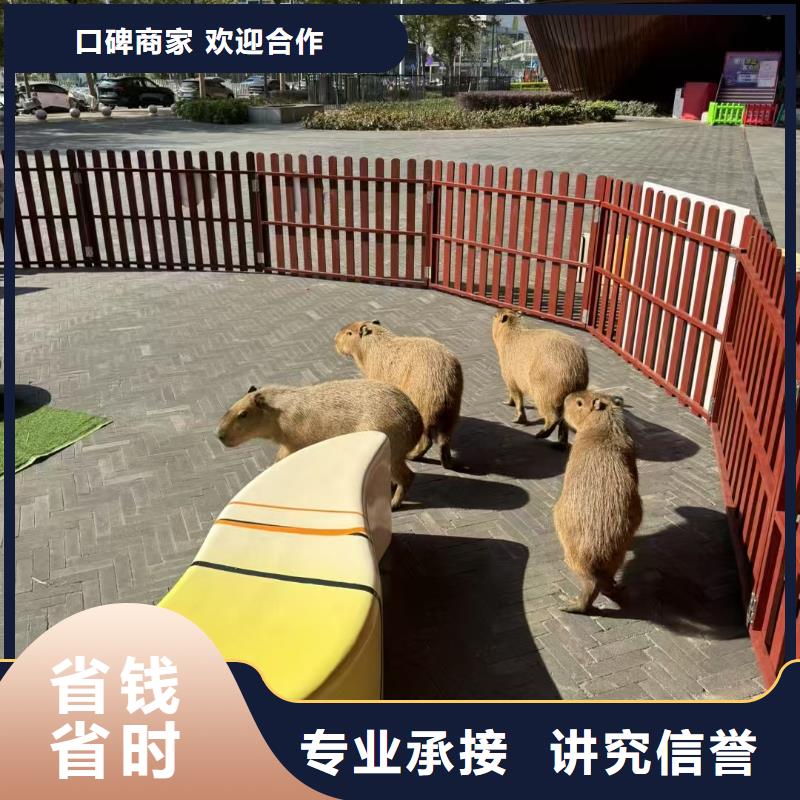 租賃資質(zhì)核查熱賣中