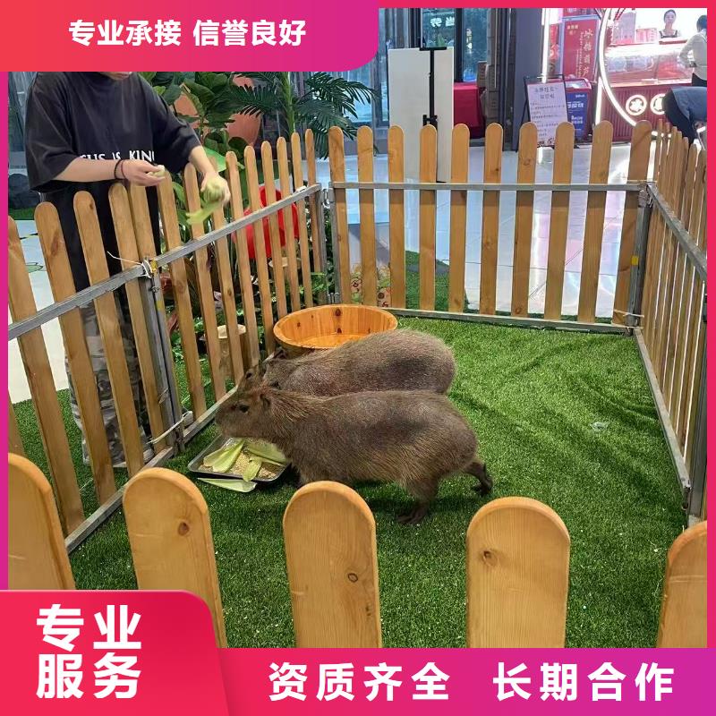 出租優(yōu)勢安裝指導(dǎo)