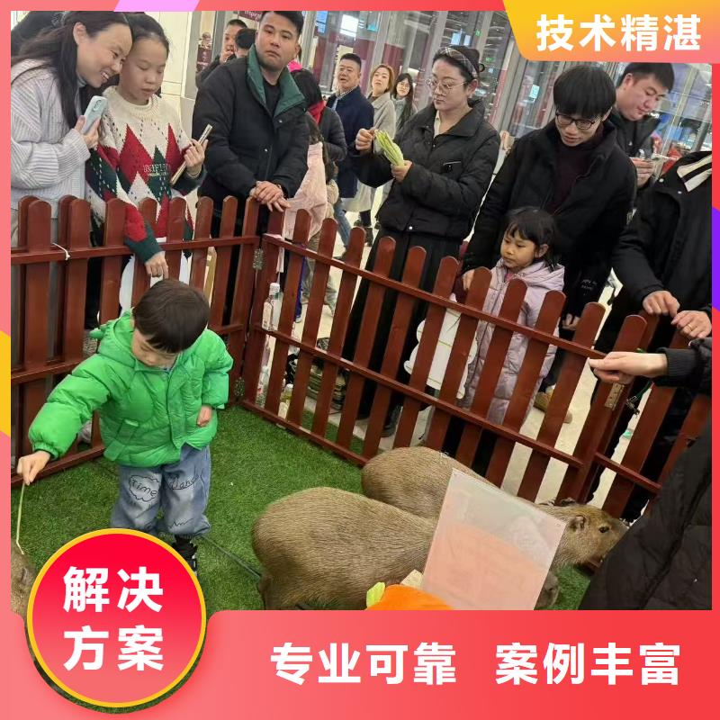 出租出廠價(jià)