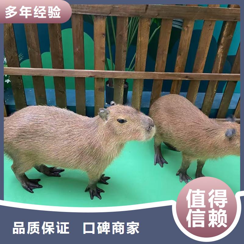 出租優(yōu)勢安裝指導(dǎo)