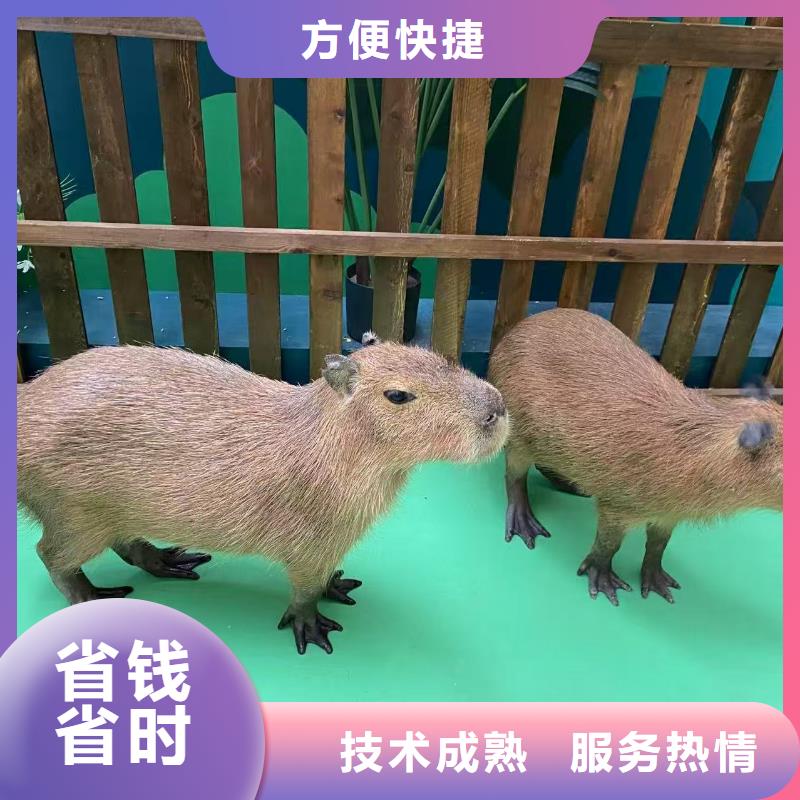 出租出廠價(jià)