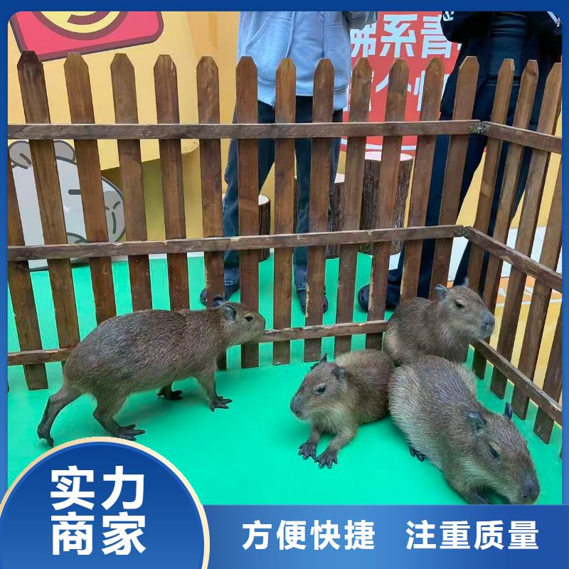 租賃資質(zhì)核查-質(zhì)量不用愁