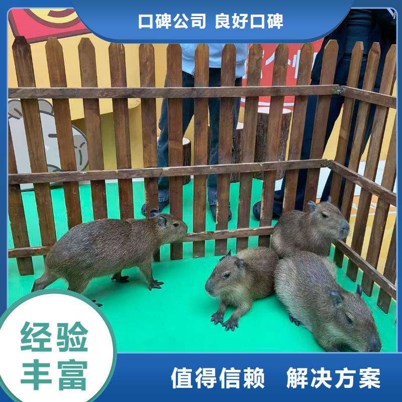 出租出廠價(jià)