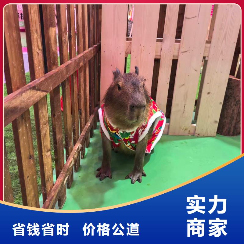 租賃資質核查-租賃資質核查廠家直發(fā)