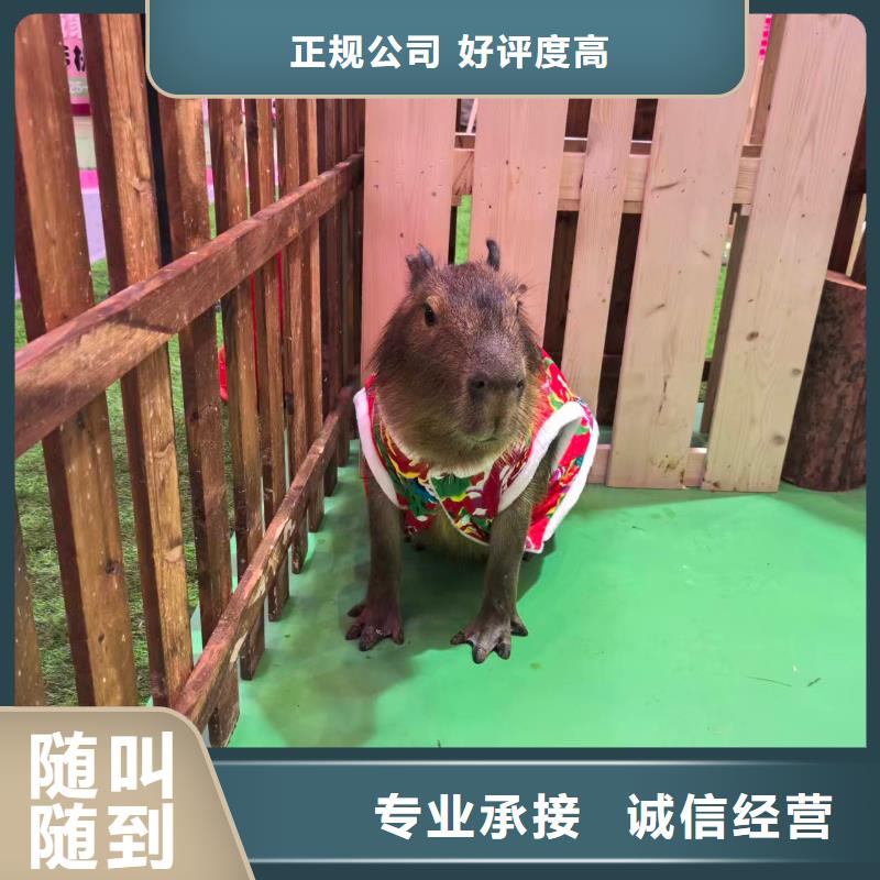 租賃資質(zhì)核查熱賣(mài)中